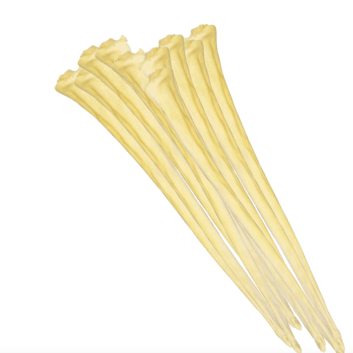 a70f7bb6a177769e5ef688022966fd8b.png