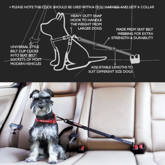 b6c58cb39324074f28fa9ff224db76a0.png