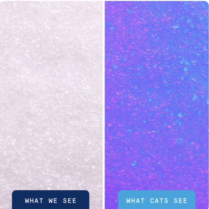 da8a025aa20ab99c4a0882ec09bd1da0.png