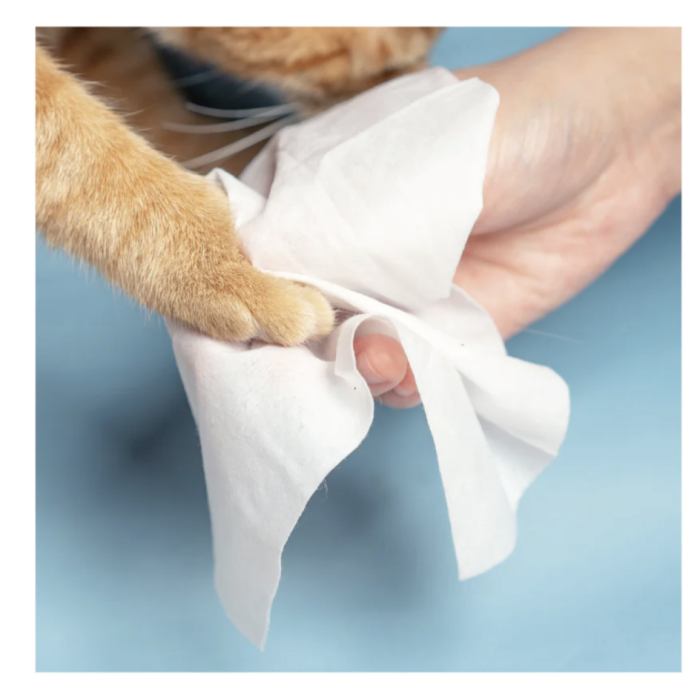 09ccfc1828a7c825e79afadb6e2f233e.png